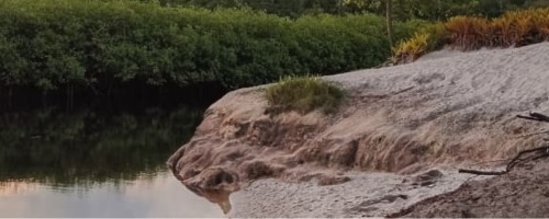 Atardecer en la naturaleza de Brasil